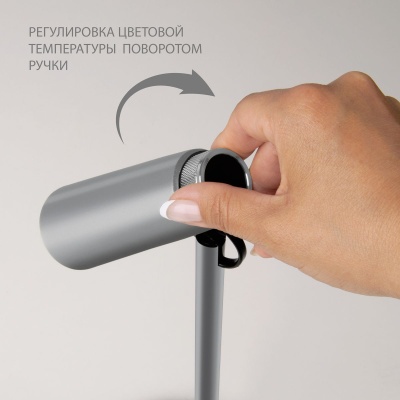 Настольная лампа Elektrostandard Joel серебро/хром TL70190 a048901  фото, kupilegko.ru