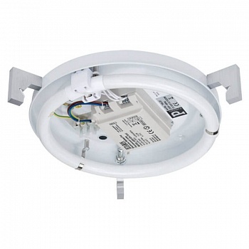 Настенно-потолочный светильник Paulmann Basic Circle 70037  фото, kupilegko.ru