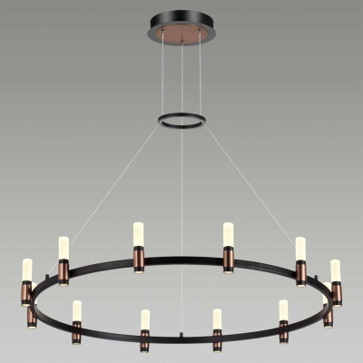 Подвесная светодиодная люстра Odeon Light 5009/48L  фото, kupilegko.ru