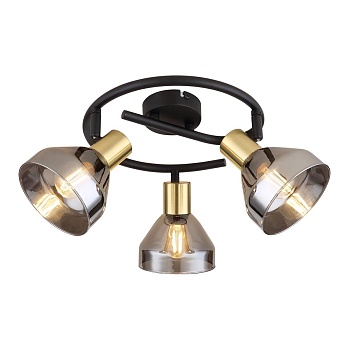 Спот Rivoli Kinge 7036-733 Б0052877  фото, kupilegko.ru