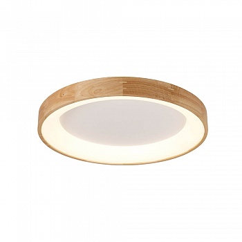 Потолочный светильник Azzardo Silvam 45 AZ2697  фото, kupilegko.ru