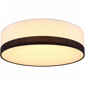 Потолочный светодиодный светильник Globo Maggy 15385D1  фото, kupilegko.ru