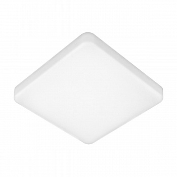 Потолочный светодиодный светильник Elektrostandard DLS043 10W 4200K 4690389149290  фото, kupilegko.ru