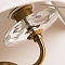 Бра, светильник настенный накладной Arte Lamp A8555AP-2AB  фото, kupilegko.ru