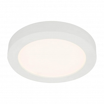 Потолочный светодиодный светильник Globo Paula 41605-22  фото, kupilegko.ru