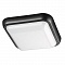 Уличные потолочные Novotech Opal 357509