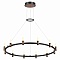 Подвесная светодиодная люстра Odeon Light 5009/48L  фото, kupilegko.ru