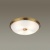 Потолочный светильник Odeon Light Pelow 4956/4  фото, kupilegko.ru