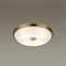 Потолочный светильник Odeon Light Pelow 4956/4