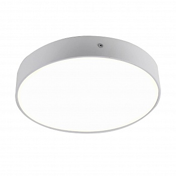 Потолочный светодиодный светильник Favourite Flashled 2065-30C  фото, kupilegko.ru