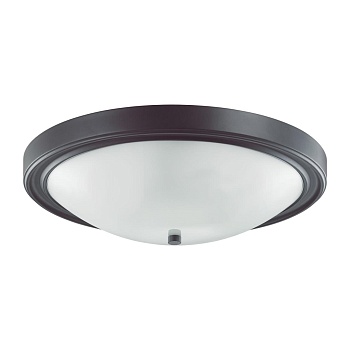 Настенно-потолочный светильник Lumion Nina 5260/4C  фото, kupilegko.ru