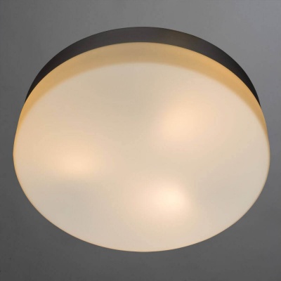 Потолочный светильник Arte Lamp Shirp A3211PL-3SI  фото, kupilegko.ru