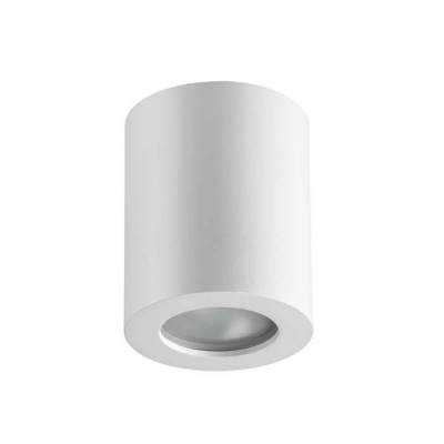Потолочный светильник Odeon Light Aquana 3571/1C  фото, kupilegko.ru