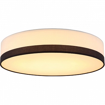 Потолочный светодиодный светильник Globo Maggy 15385D2  фото, kupilegko.ru