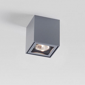 Потолочный светильник Delta Light Boxy 251 67 44 A  фото, kupilegko.ru