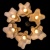 Подвесная люстра Arte Lamp 18 A3479SP-6CC  фото, kupilegko.ru
