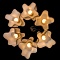 Подвесная люстра Arte Lamp 18 A3479SP-6CC  фото, kupilegko.ru