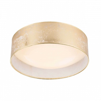 Потолочный светодиодный светильник Globo Amy 15187D7  фото, kupilegko.ru