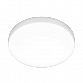 Потолочный светодиодный светильник Elektrostandard DLR043 10W 4200K 4690389149283  фото, kupilegko.ru