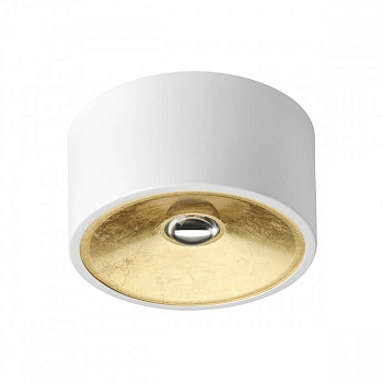 Потолочный светильник Odeon Light Glasgow 3892/1C  фото, kupilegko.ru