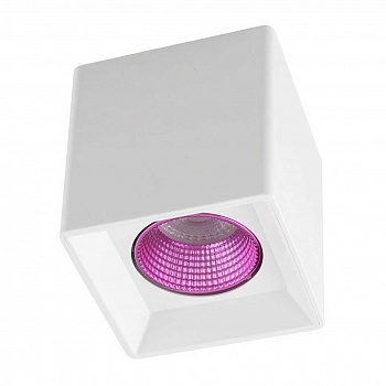 Потолочный светильник Denkirs DK3020WPI DK3080-WH+PI  фото, kupilegko.ru