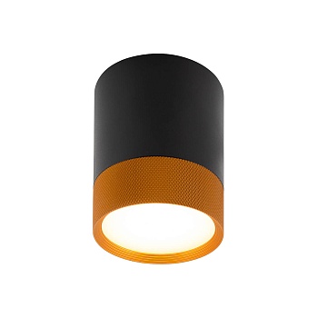 Накладной светодиодный светильник Denkirs DK4017-BG  фото, kupilegko.ru