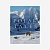 Polar Tales: The Future of Ice, Life, and the Arctic Книга Rizzoli  фото, kupilegko.ru