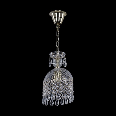 Подвесной светильник Bohemia Ivele 14783/20 G  фото, kupilegko.ru
