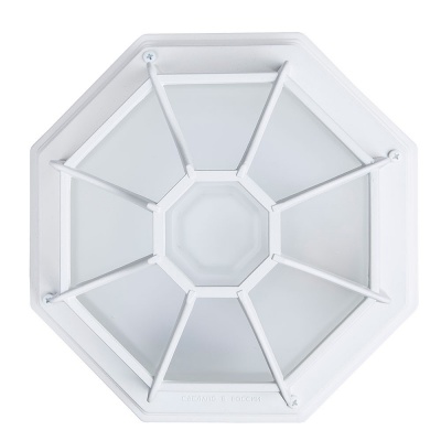 Уличные потолочные Arte Lamp Pegasus A3100PL-1WH  фото, kupilegko.ru