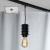 Фото Трековые светильники Lussole Трековые светильники Lussole Track Lights LSP-9920-TAW фото, kupilegko.ru