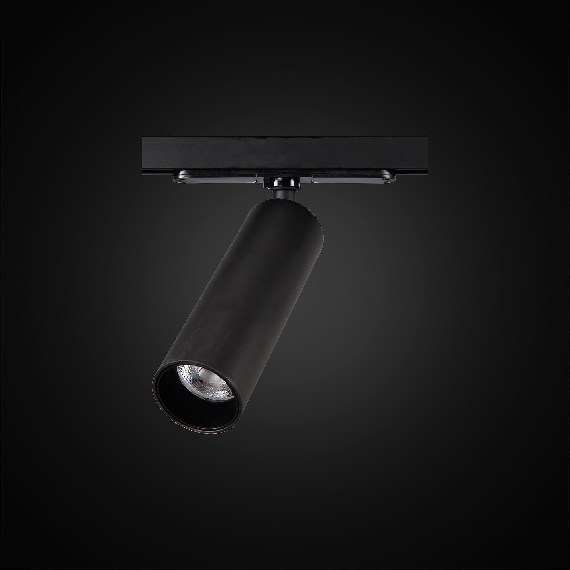 Трековые светильники Citilux Тубус CL01T071  фото, kupilegko.ru