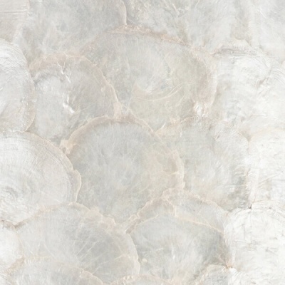 Настольная лампа Lightstar Perla 707911  фото, kupilegko.ru