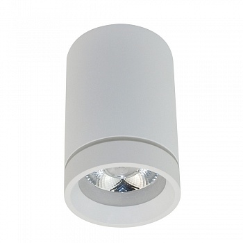 Потолочный светодиодный светильник Aployt Edda APL.0053.09.10  фото, kupilegko.ru