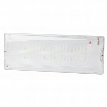 Аварийный светодиодный светильник ЭРА DPA-301-1-65 Б0051843  фото, kupilegko.ru