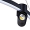 Подвесная светодиодная люстра Arte Lamp A2186SP-1BK  фото, kupilegko.ru