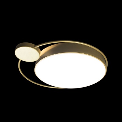 Потолочный светодиодный светильник Loft IT Mike 10063  фото, kupilegko.ru