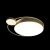 Потолочный светодиодный светильник Loft IT Mike 10063  фото, kupilegko.ru