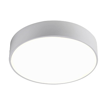 Потолочный светодиодный светильник Favourite Flashled 2065-24C  фото, kupilegko.ru