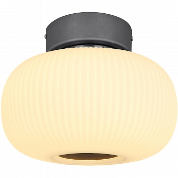 Потолочный светодиодный светильник Globo Boomer 15437D  фото, kupilegko.ru