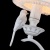 Фото Люстра подвесная Люстра Maytoni Подвесная люстра Maytoni Bird ARM013-03-W фото, kupilegko.ru