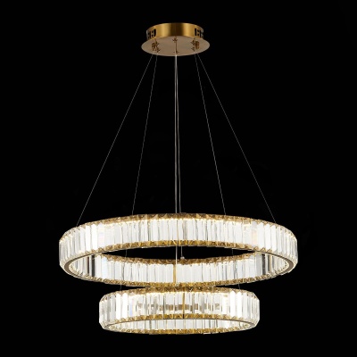 Подвесная светодиодная люстра ST Luce SL1622.303.02  фото, kupilegko.ru
