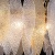 Подвесная люстра MW-Light Эмилия 2 607014306  фото, kupilegko.ru