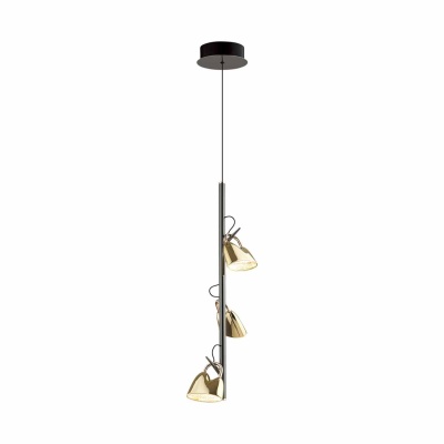 Подвесная светодиодная люстра Odeon Light 5002/13L  фото, kupilegko.ru