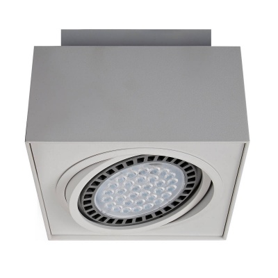 Встраиваемый светильник Zumaline Boxy cl 1 20074-WH  фото, kupilegko.ru