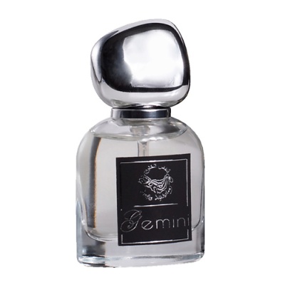 Парфюмерная вода ANFAS ALKHALEEJ Gemini 122200815 LT  фото, kupilegko.ru