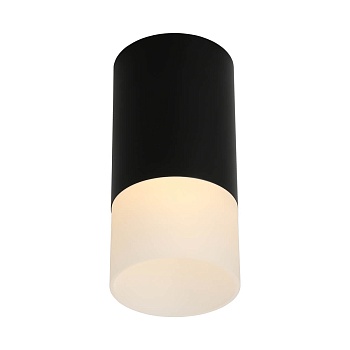 Потолочный светильник Omnilux Lucido OML-100619-01  фото, kupilegko.ru