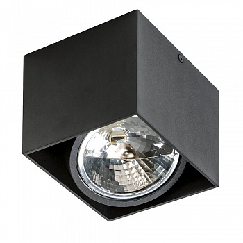 Потолочный светильник Azzardo Alex AZ1358  фото, kupilegko.ru