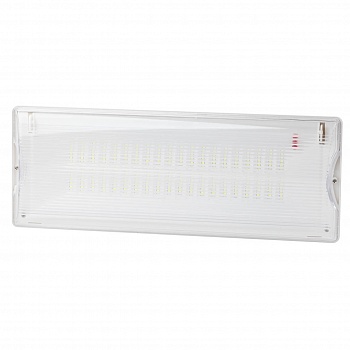 Настенный светодиодный аварийный светильник ЭРА DPA-301-0-65 Б0044405  фото, kupilegko.ru