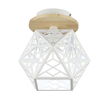 Потолочный светильник Wedo Light Aland 66782.01.09.01  фото, kupilegko.ru