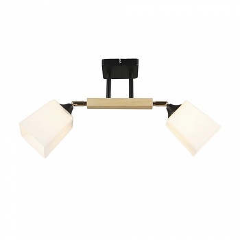 Потолочный светильник Wedo Light Lion 66770.01.86.02  фото, kupilegko.ru